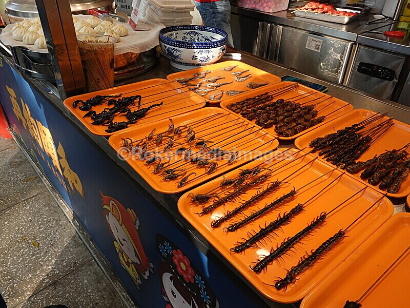 CHINA__1277 - China 2019