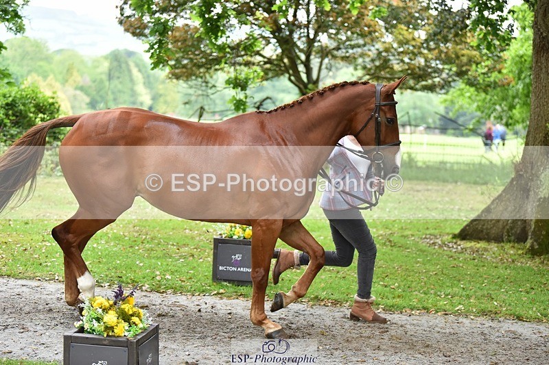 240522-171944-01534 - 269-EMERALD_KATIE-Isabelle_Cook