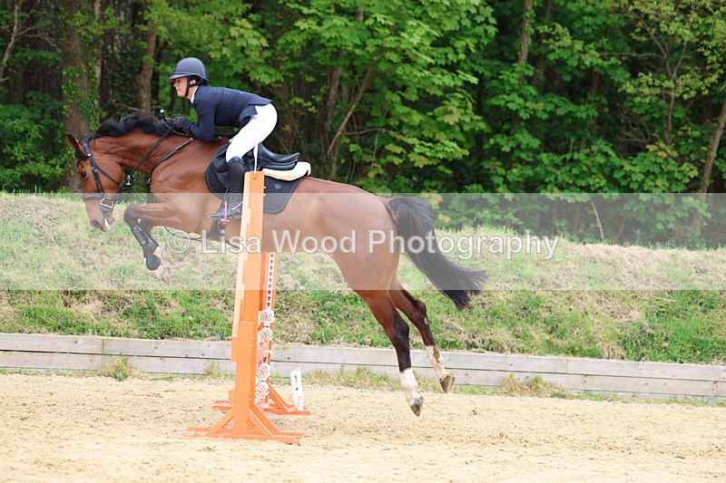 3E7A6168 - Class 4: Senior British Novice/90cm open