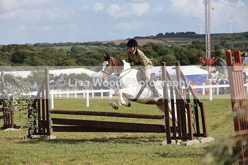 JPP_2812 - Class 20: Working Hunter 70cm