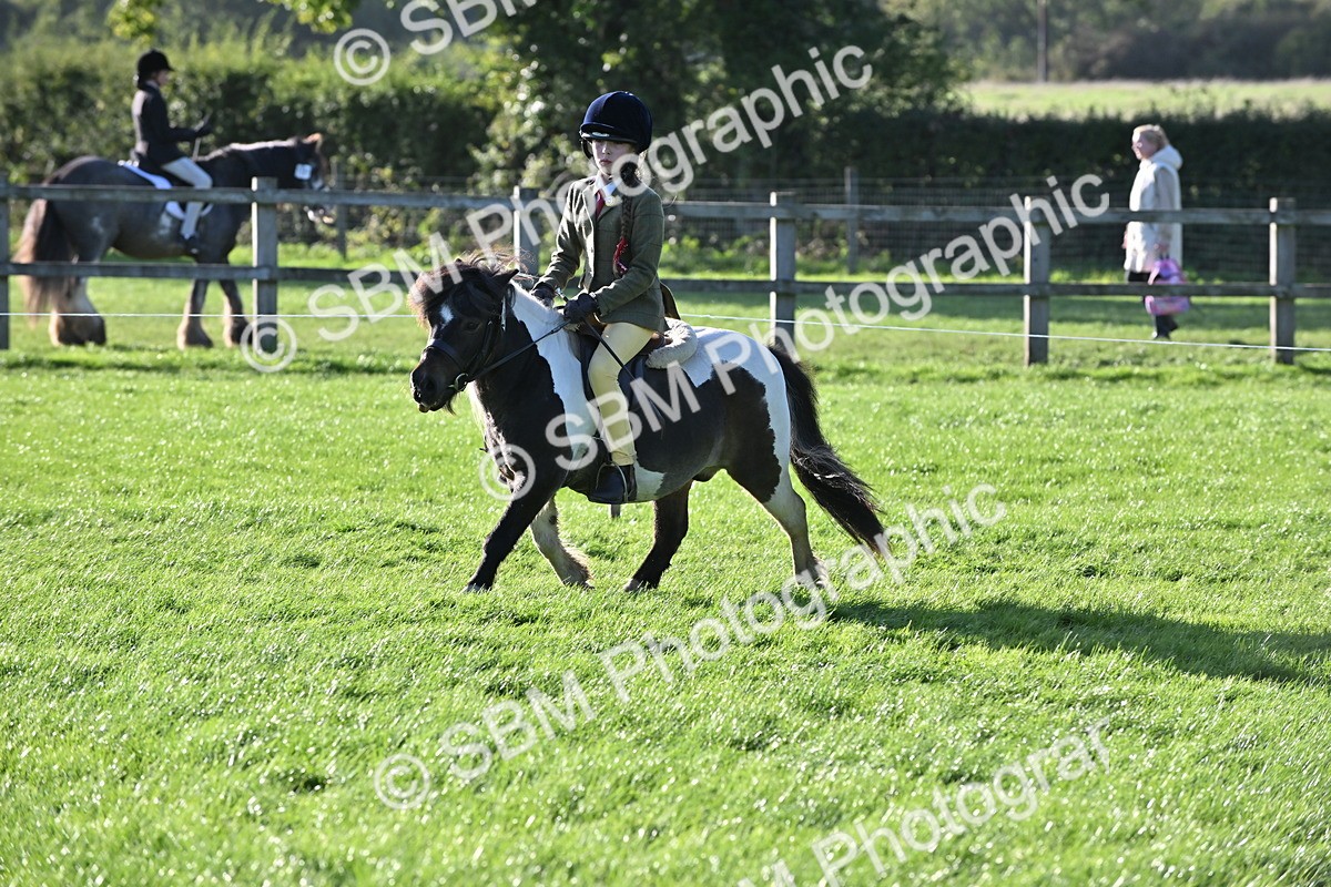 SBM_53054 - S23 - First Ridden Mountain & Moorland Pony