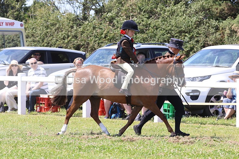 JPP_2393 - Class 20: Tiny Tots Working Hunter Pony