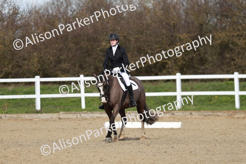 20260314-2942 - DR3 - Prelim 1