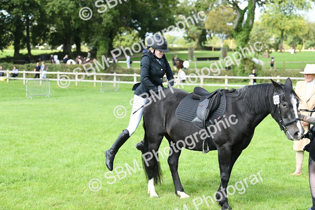 SBM_46839 - S12 - Family Horse & Pony