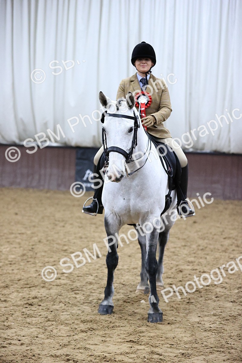 SBM_6395 - Class 45-42 - Ridden Irish Breeds-Ridden Cob