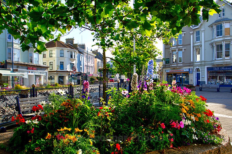 Flowerbedsat The Triangle Teignmouth - Teignmouth and Shaldon