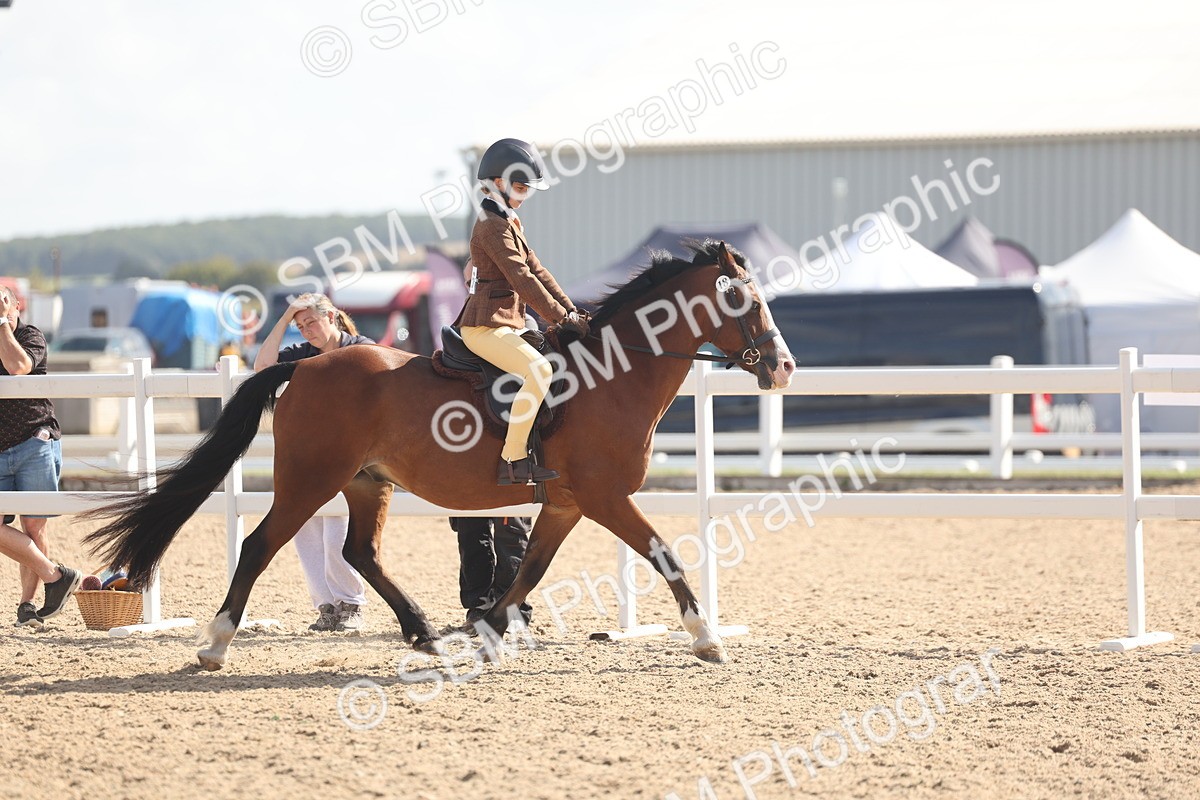 SBM_23102 - Class 806 - Young Rider 10ry and Under