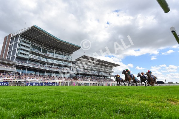 280625-Race 2-Quinault-5177 - Race 2 2.25pm Al Basti Equiworld Dubai Criterion Stakes