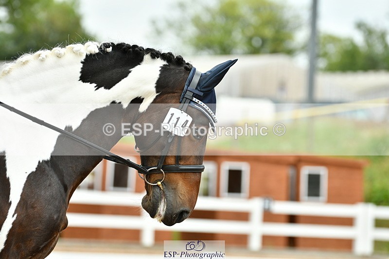 230701A-123004-05744 - Cls 7 Elementary 45