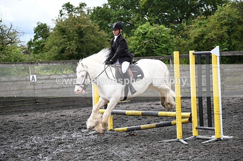 WJ6_0228 - Class 13 Novice 60cm