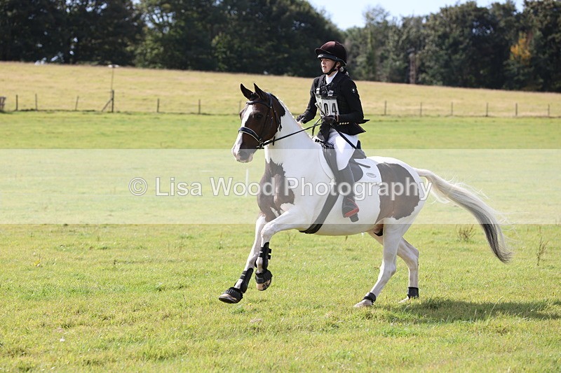JPP_8683 - Class 2: Trekenning: 80cm Showjumping