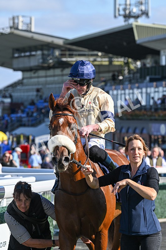 180924-Race 2-American Style-4008 - Race 2