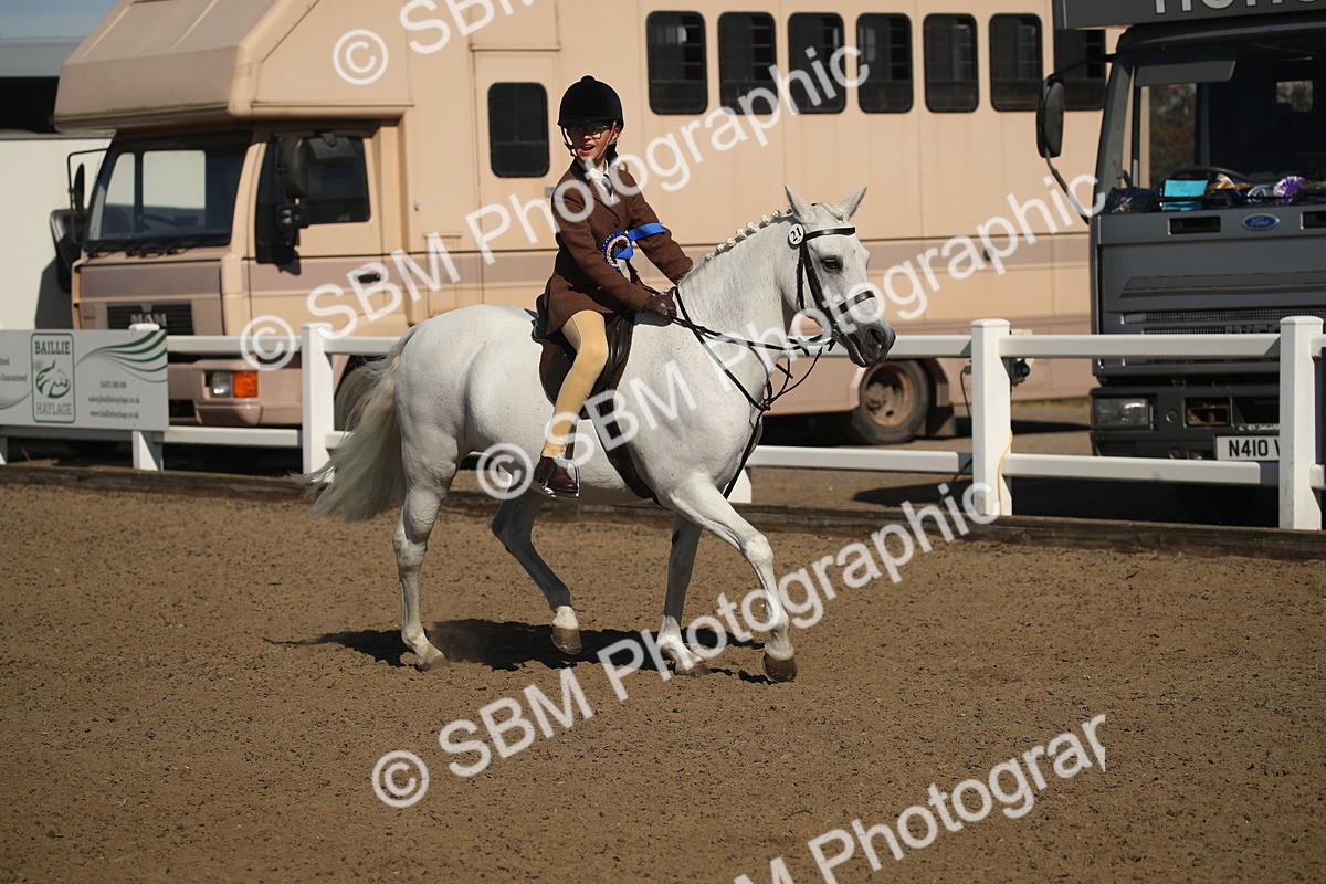 SBM_12796 - Class 504b - Junior Working Veteran - 40cm (20+)