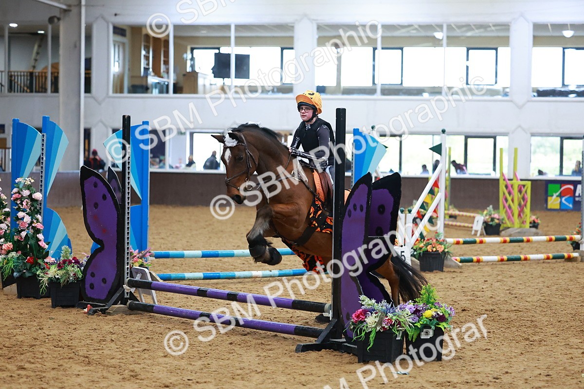 SBM_001612 - Class 3 - Horse & Hound (60cm)