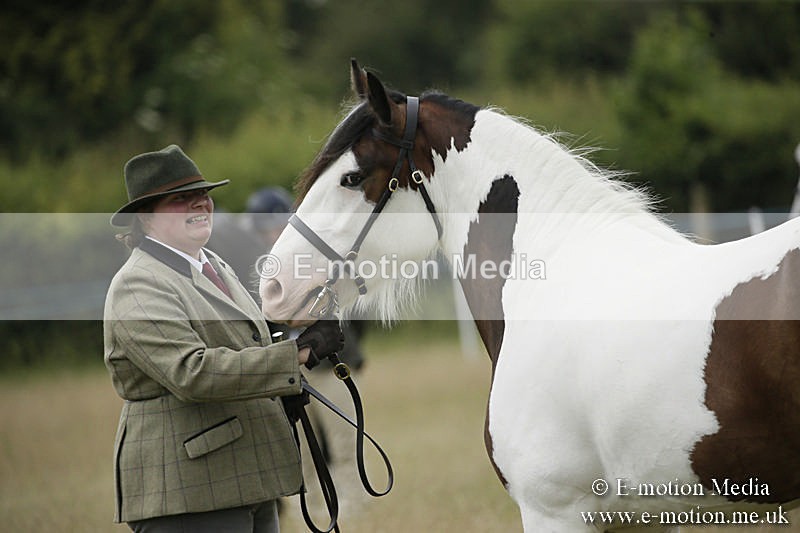B230619-0386 - Bourne Valley Riding Club Summer Show 23/06/19