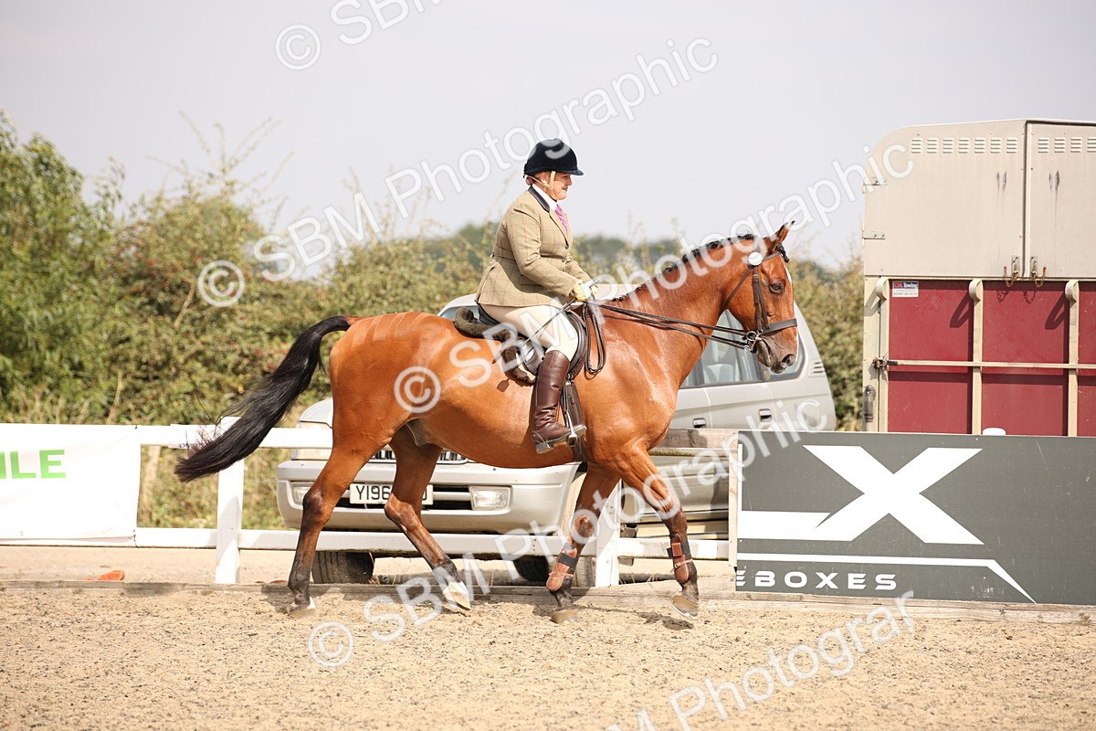 SBM_12883 - Class 406a - Working Veteran 50cm (15-19)