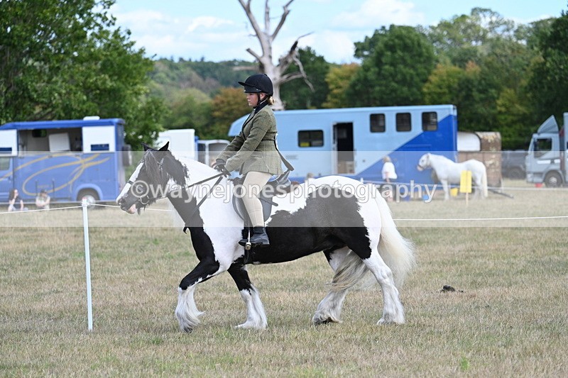 WJ7_6929 - Class 14 Ridden Coloured
