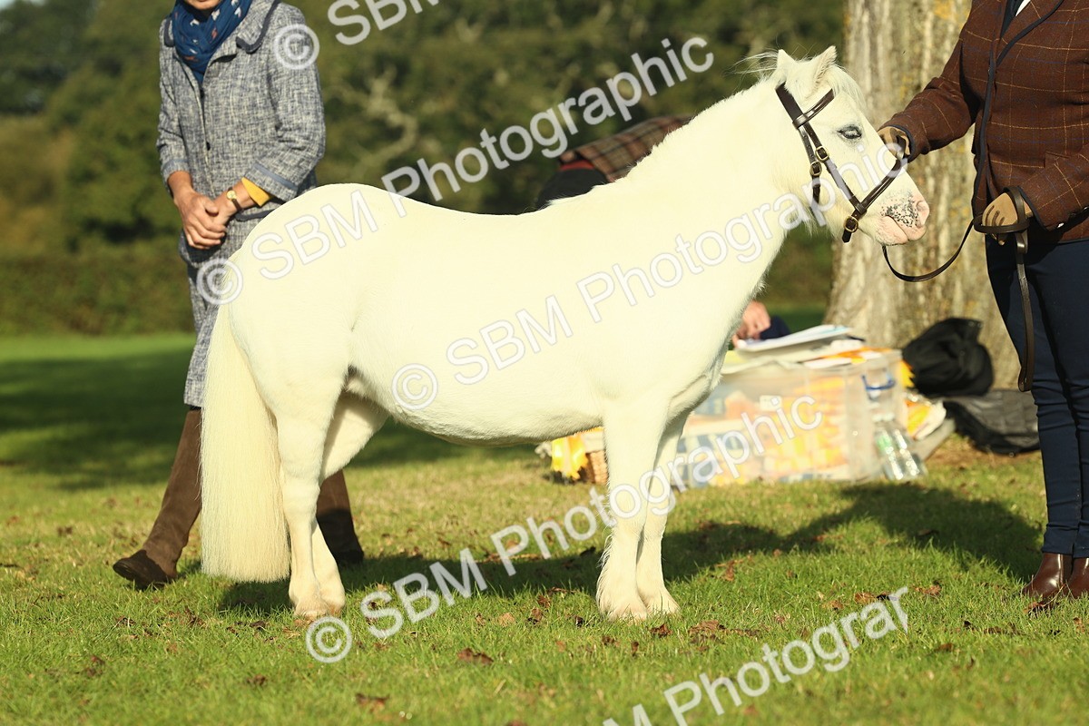 SBM_58581 - S37 - Starters In Hand Showing