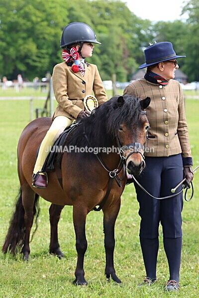 IMG_2342 - Working Hunter