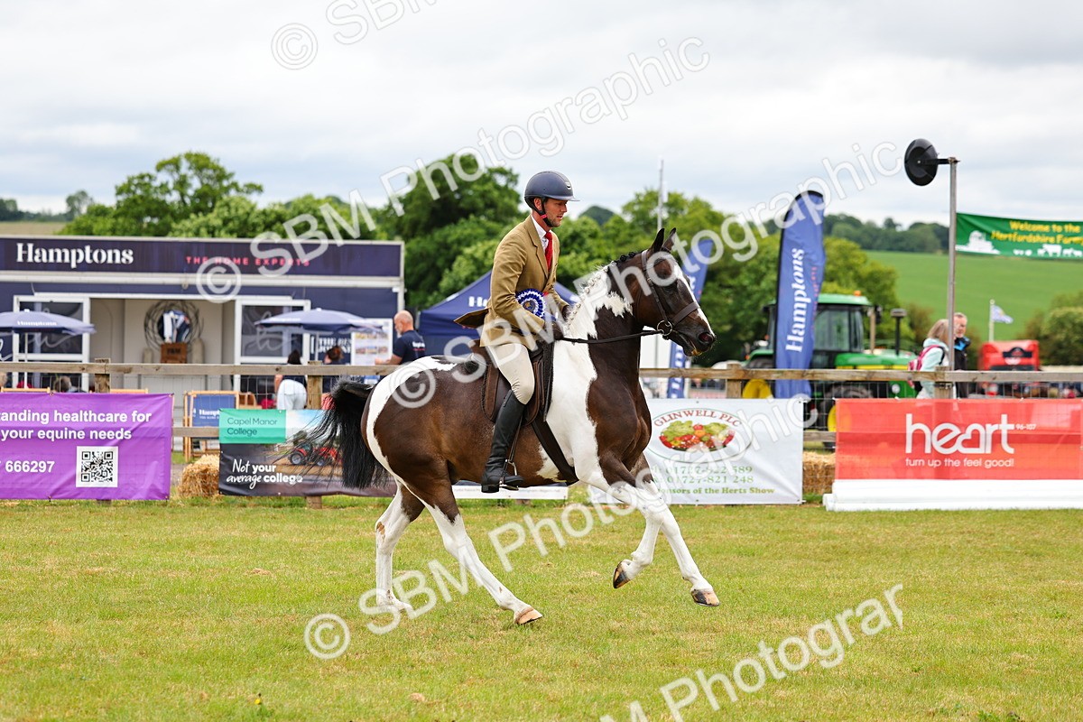 SBM_02672 - Class 9-11 Side Saddle including LIHS Rising Star Ladies Show Horse