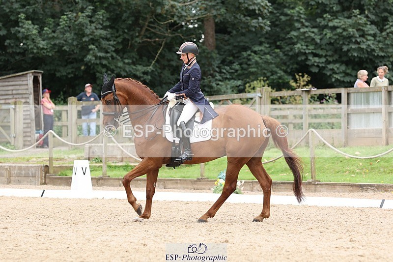 240810-161342-04348 - 219-Alice.Peternell-Insanity