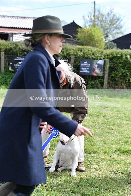 WJ5_0633 - Class 7 Best Terrier