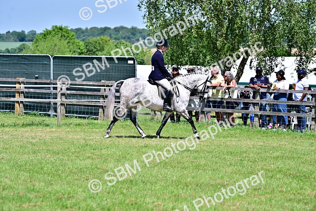 SBM_17382 - Class 95-97 - BSPS LHS Performance Ponies