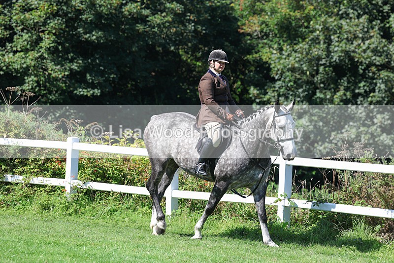 3E7A8317 - Class 4: Novice working Hunter