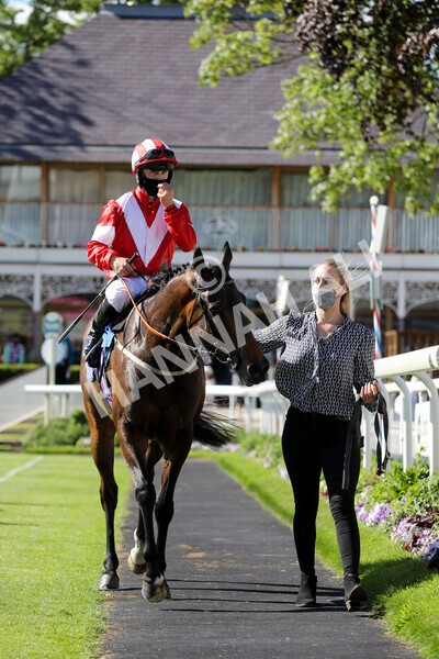  - Race 6 4.50pm The Ice Co supporting Macmillan Stakes