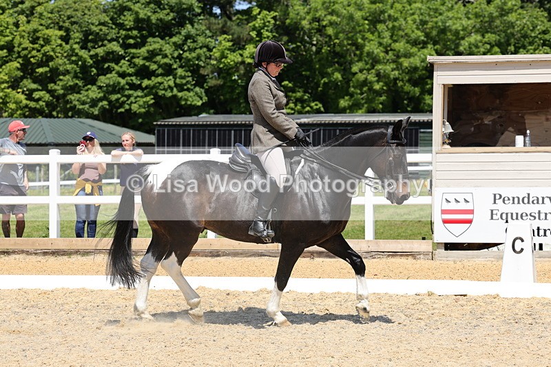 1X9A1687 - Class 11: Ridden Cob