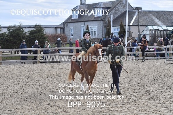 BPP_9075 - RING 2 - M&M