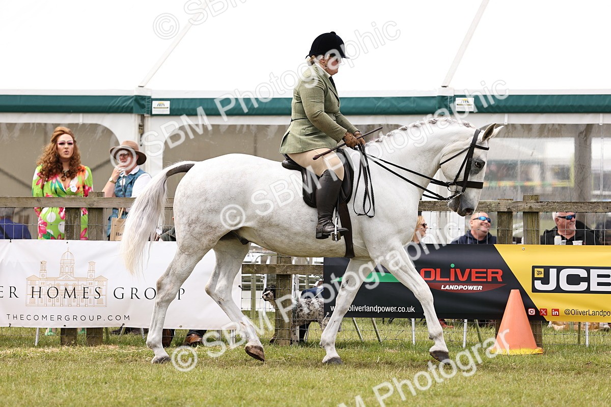 SBM_14645 - Class 88-89 - LIHS BSHA Rising Star of Ridden Hunter Type