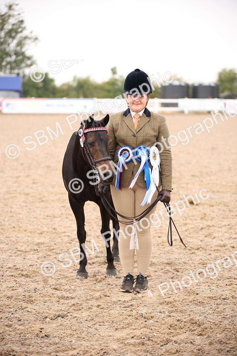 SBM_20144 - Class 702 - IH  Show Horse Pony