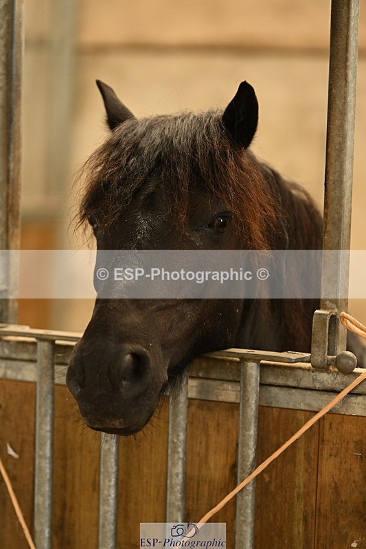 240809A-084650-00010 - Stable Shots