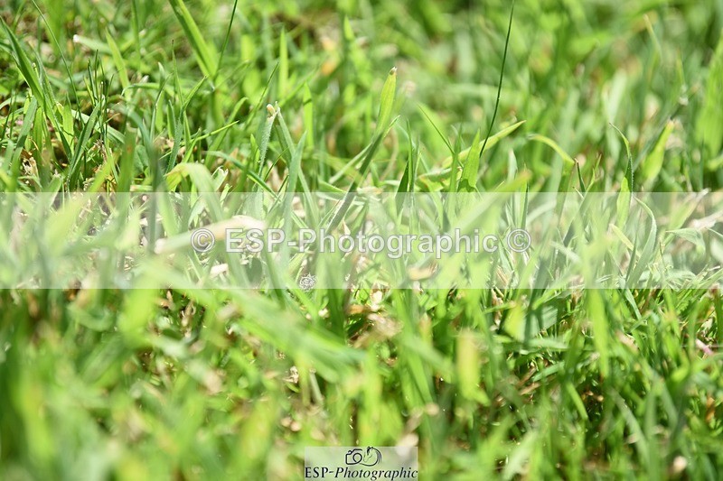 240605-144648-01187 - Cls 6 Elementary 59 SQ