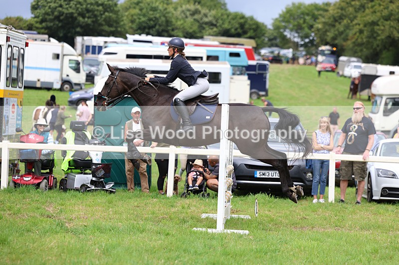 3E7A7343 - Class 5: Senior British Novice/90cm open
