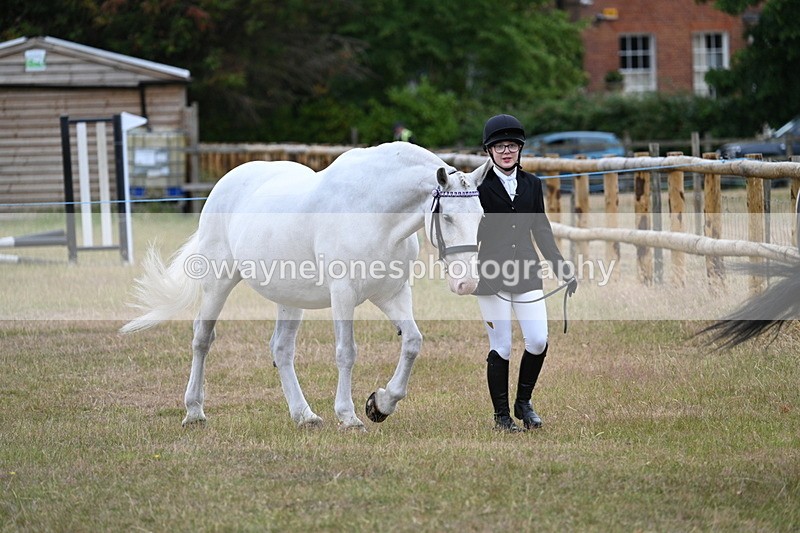 WJ7_9067 - Class 4a Prettiest Mare 14.2hh and over