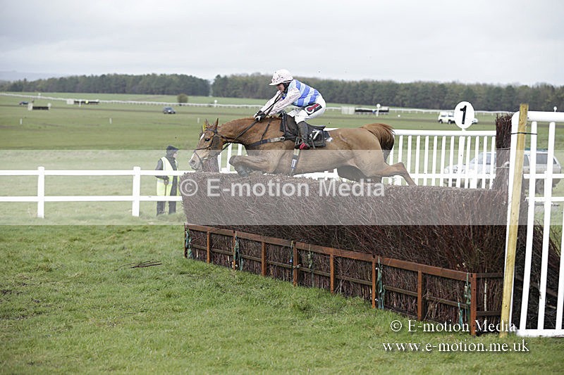 PtP 150320 0434 - New Forest Point-to-Point Larkhill 15/03/20
