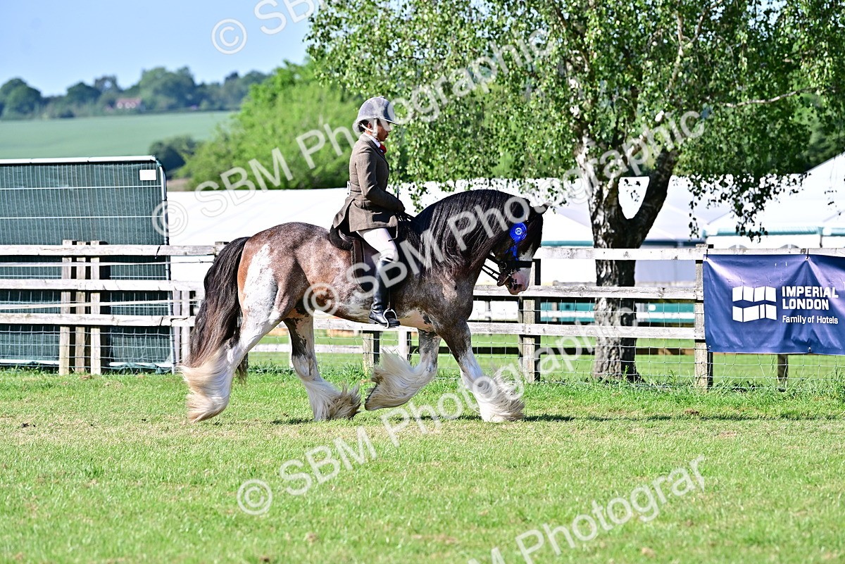SBM_19561 - Class 101-102 - BSPS LIHS Performance Coloured Horse/Pony