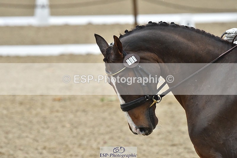 231018-145558-00670 - 005-DIAMOND.WOODS-Claire.Deuten-DR