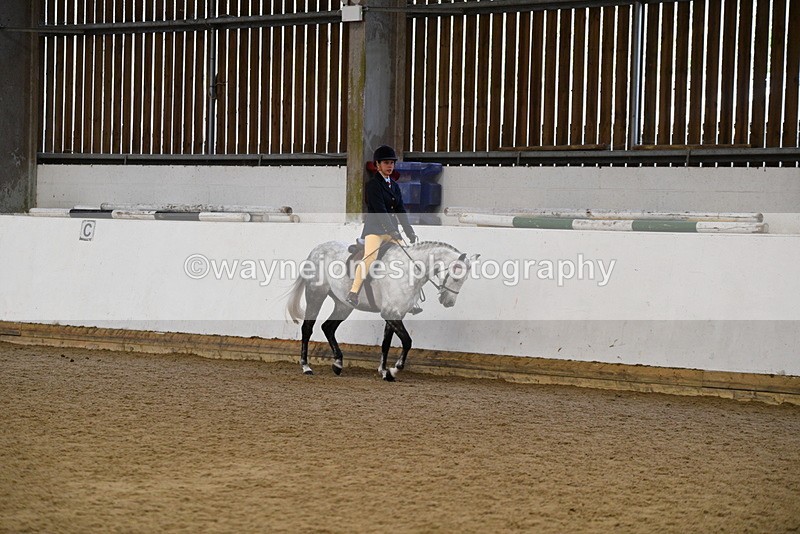 WJ5_7704 - Class 13 Ridden Part Breed