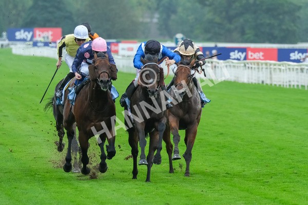 080925-Race 5-Elmonjed-9413 - Race 5 4.30pm Sky Bet Starman Garrowby Stakes