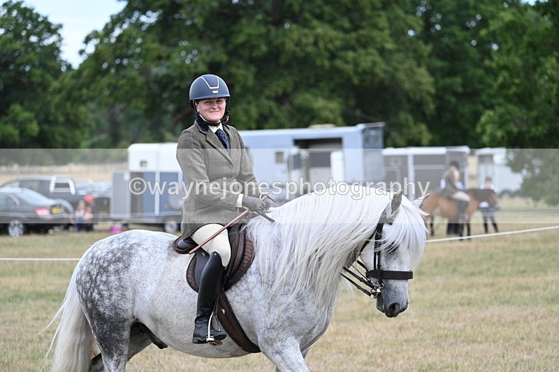 WJ7_5441 - Class 12 Ridden Cob