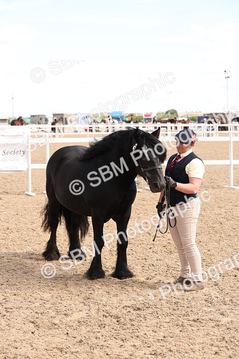 SBM_13974 - Class 205 - IH Show Pony - Show Hunter Pony