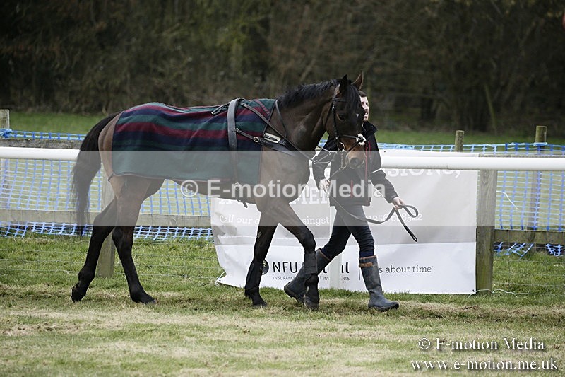 PtP 110318 3 - Hampshire Hunt Point-to-Point Hackwood Park 11/03/18