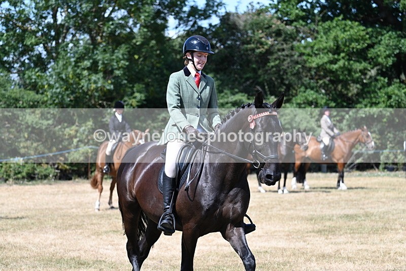WJ7_3584 - Class 8 Ridden Veterans