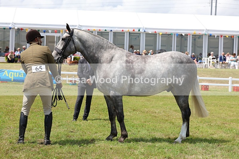 3E7A2188 - Class 10: Open Cob