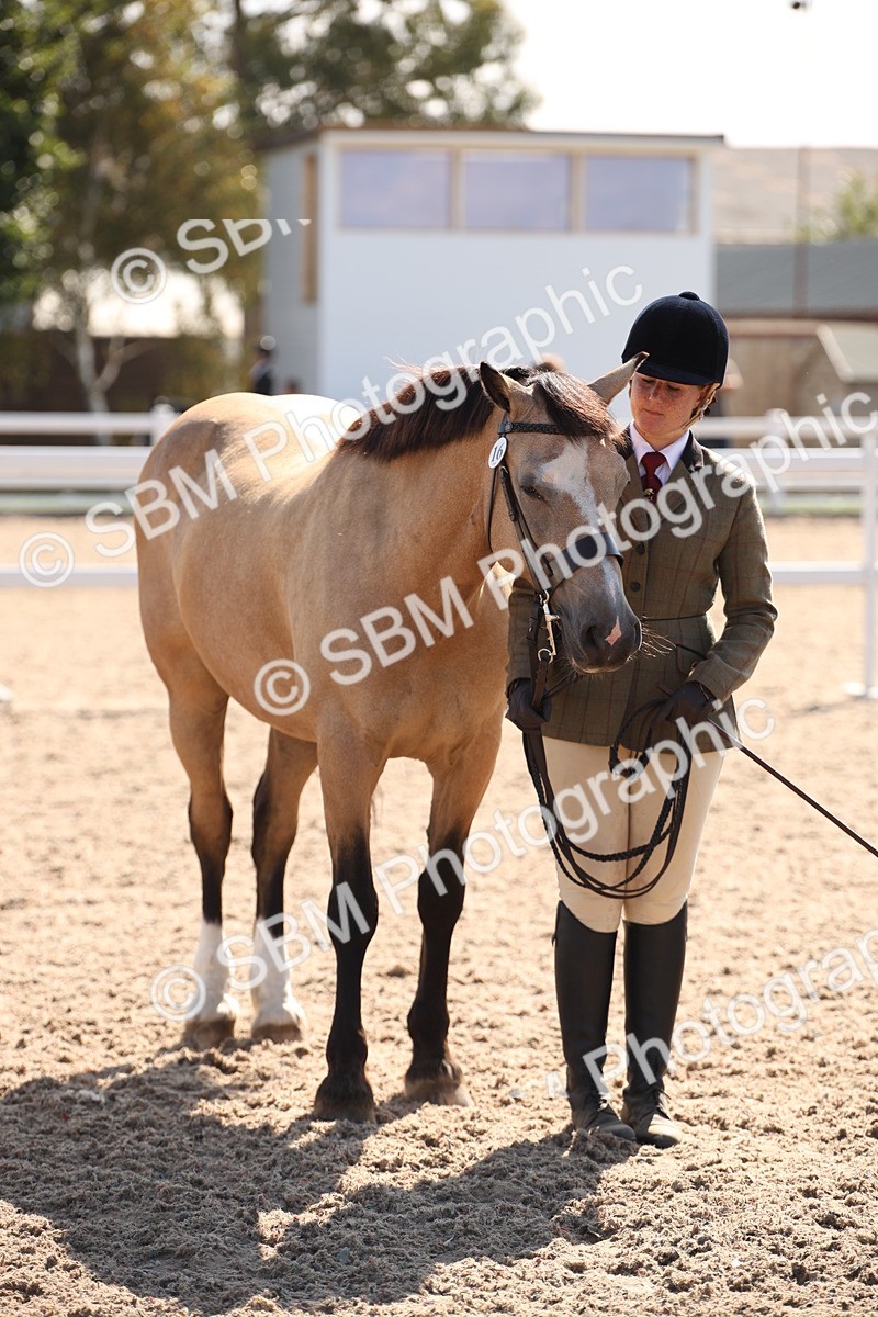 SBM_02796 - Class 16 IH M&M Wildcard