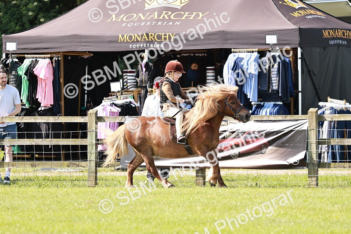 SBM_12768 - Class 106-107 - BSPS LIHS Working Sports Pony