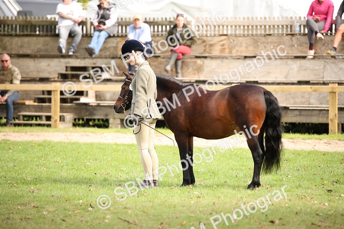 SBM_44485 - S24 - Young Veteran in hand